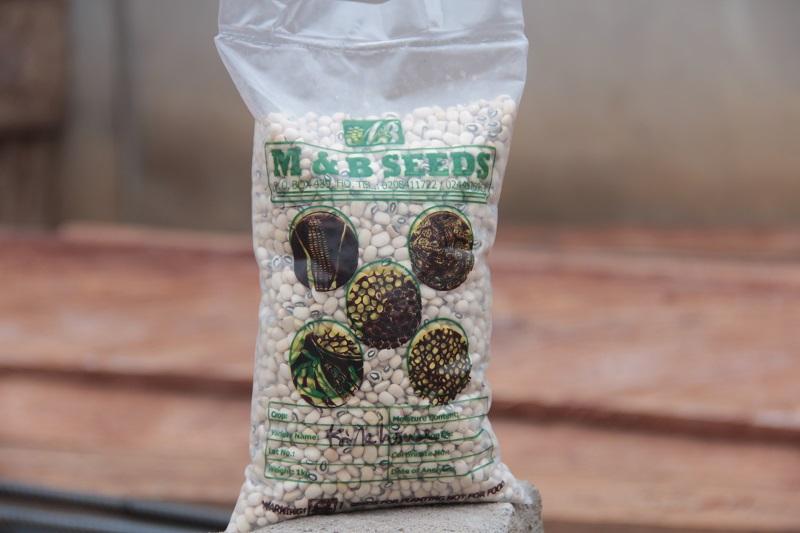 M&B’S Beans Seed - Image 3