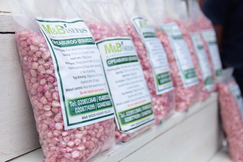 M&B Maize Seeds OPEABUROO (EDUDZI)